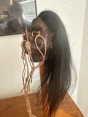 Dark Haired Jivaro Shrunken Head With Chonta Spines -tsantsa • $72.95