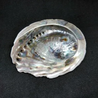 ABALONE (PAUA) SHELL For Smudging Purification Clearing Negative Energies 7cm • £10.25