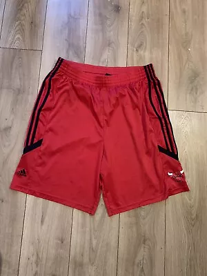 ADIDAS Chicago Bulls NBA Mens Vintage Basketball Shorts Large  • £20