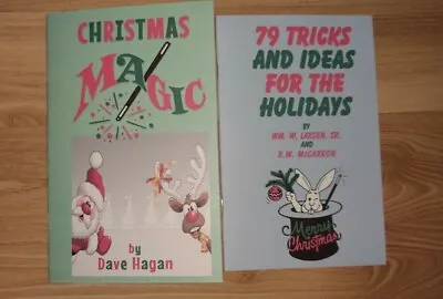 Christmas And Holiday Magic 2-Book Lot • $15