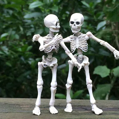 Movable Mr. Bones Skeleton Human Model Skull Full Body Mini Figure Toy Halloween • $8.42