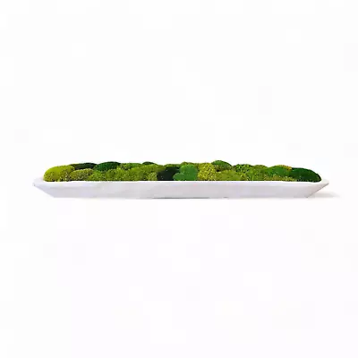 Wood Moss Bowl 30  - Long Wood Dough Bowl With Preserved Moss • $149.95