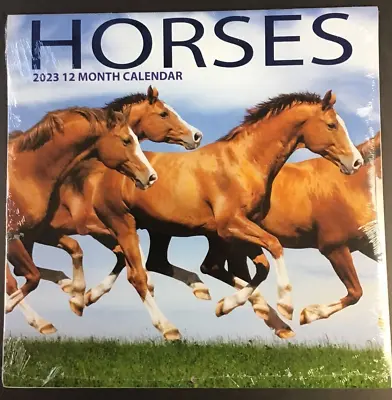 $3.95 • Buy 2023 Wall Calendar Horses   11 X12  Opens Up  To 22  Inches High  12 Month