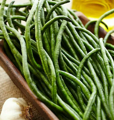 Dark Green Yard Long Bean Seeds | USA Asparagus Beans Asian Chinese Edamame 2024 • $3.95