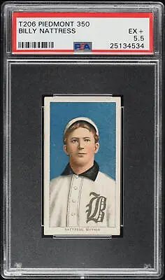 1909-11 T206 Billy Nattress Buffalo PIEDMONT 350/25 PSA 5.5 EX+ (PWCC-A) • $639.20