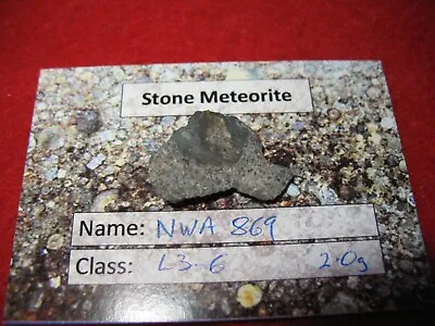 NWA 869 L3-6 Chondrite Meteorite Slice With Large Inclusion 2.0g Nice • £7.50