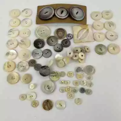 Lot Of Mixed Vintage Abalone Shell Mother Of Pearl Buttons • $22.91