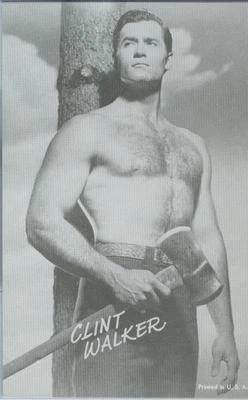 $11.75 • Buy CHEYENNE - MINT Shirtless Clint Walker Arcade Or Exhibit Card In Plastic Holder