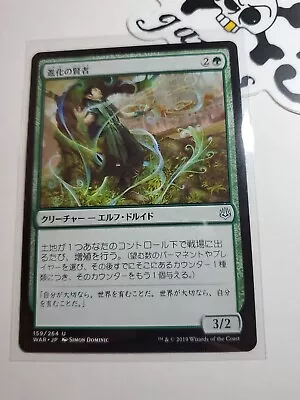 MTG Evolution Sage War Of The Spark 159/264 Regular Uncommon JAPANESE NM Pack Fr • $1.25