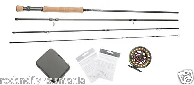 FLY FISHING SALT OUTFIT Rod Reel Line Backing Leader Box Of Saltwater Flies  • $198