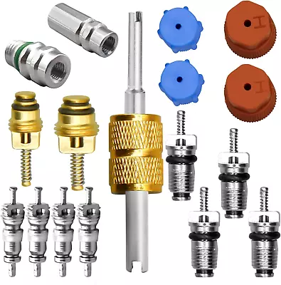 17 Pcs Air Conditioning Valve Core Kit R12 To R134A Conversion Kit R134A Valve • $14.78