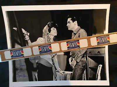$100 • Buy SIGNED Sue Ane Langdon B&W Photo / 8x10 / Roustabout / Elvis Movie