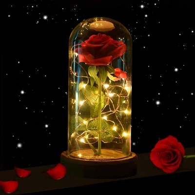 $21.95 • Buy Rose In Glass Dome Eternal Forever Flower LED Night Light Valentine Wedding Gift
