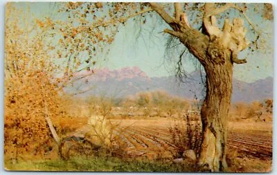 Postcard - Organ Mountains - New Mexico • $3.43
