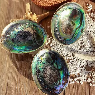 Natural Abalone Shell For Smudging And Home Decor Soothing Energy  B1B1 • £2.94