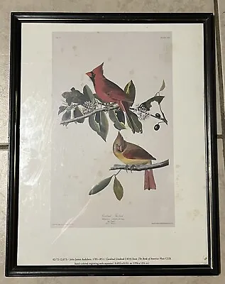 $45 • Buy John James Audubon  Cardinal Grosbeak  Custom Framed Art Print Bird #32