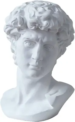 6 Inch Classic Greek Michelangelo David Bust Statue Replica Sculpture Figurine  • $38.99