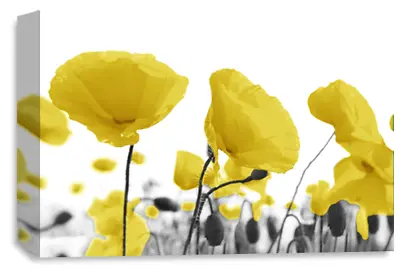 Floral Art Print Yellow Grey White Canvas Poppy Flowers Framed Picture • £29.99