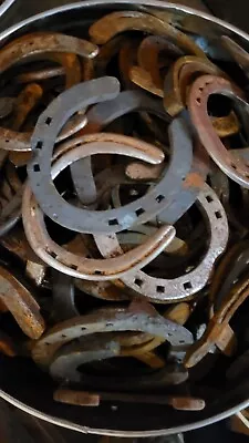 Used Steel Horseshoes Qty 15 Large Sizes. Rusty No Nails  Various Styles  • $26.95