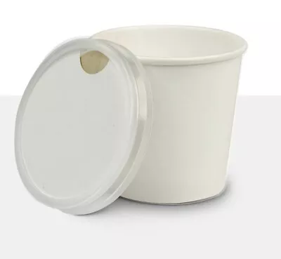 125ml Ice Cream White Paper Tub With Wooden Spoon In Lid (100 X Units) • £18