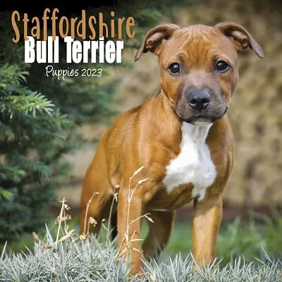 £7.86 • Buy Staffordshire Bull Terrier Puppies Mini Calendar 2023 New Book