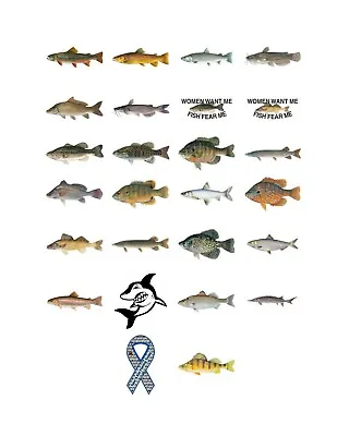 Fish Stickers And Magnets Small Mouth Bass And More Full List Below GGS Graphics • $5.98