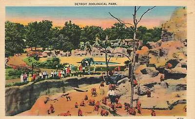 $1.99 • Buy Zoo Zoological Park Postcard Detroit Mi Michigan 1938
