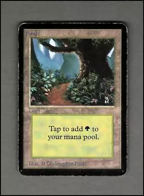 FOREST Path Lea Limited Edition ALPHA Magic The Gathering Mtg Round Boys HP • $7.57