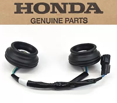 Honda Headlight Socket Harness 04-05 TRX450R 05-07 TRX400EX New OEM #E189 • $33.55