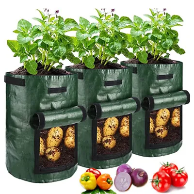 3-10Gallon Fruit Growing Bag Potato Vegetable Garden Breathable Planter Sack Bag • £4.59