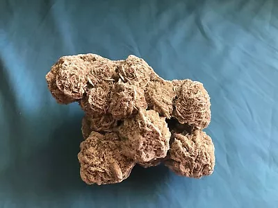$14 • Buy Genuine Natural 2 Pound 5 Ounce Desert Rose Selenite Crystal Rock Specimen 