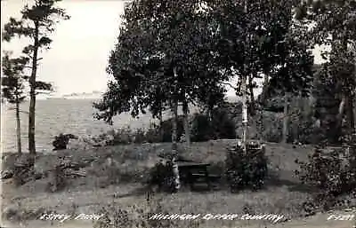 Mohawk Michigan MI Esrey Park Copper Country Real Photo Vintage Postcard • $7.46