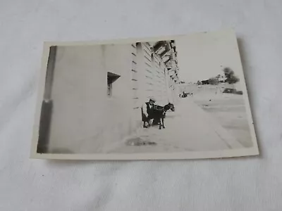 Photograph Of Maltese Milkman Delivering Goat Milk In Malta  C1938  24@3 • £9.99