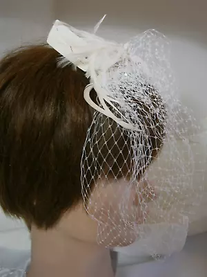 Birdcage French Net Face Veil Wedding Hair Accessory Feathers Flower Crystals • $38