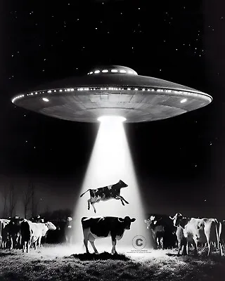 Nebraska Cattle Incident UFO 1974 Photo Flying Saucer Aliens Involvement 8X10 • $7.99