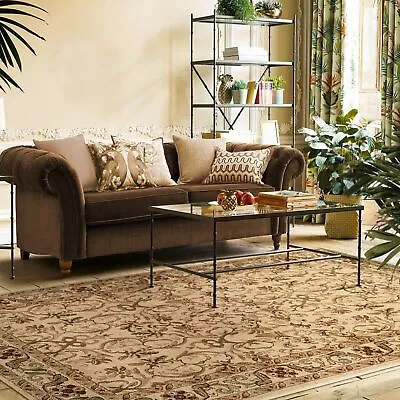 Traditional Floral Oriental Carpet Indoor Area Rug Or Runner Rug Or Door Mat • $133.45