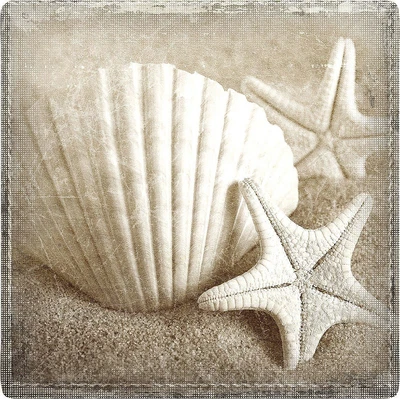 $3.99 • Buy P. Graham Dunn Shell Starfish Coaster One Size
