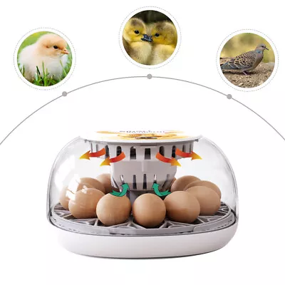 12 Egg Incubator Fully Automatic Digital Temperature Chicken Duck Eggs Poultry • $58.89