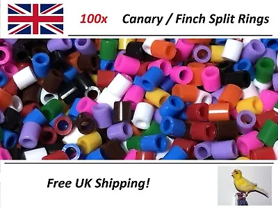 100 Bird Split Rings Multi Colour For Canary /Finch Etc 2.8mm WITH APPLICATOR • £7.99