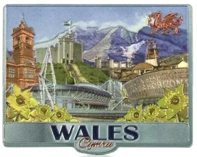 £2.99 • Buy Welsh Fridge Magnet Wales Souvenir Gift Castle Red Dragon Millennium Stadium
