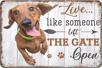 Live Like Someone Left The Gate Open Dachshund Dog Vintage Tin Sign Retro Metal  • $19.58