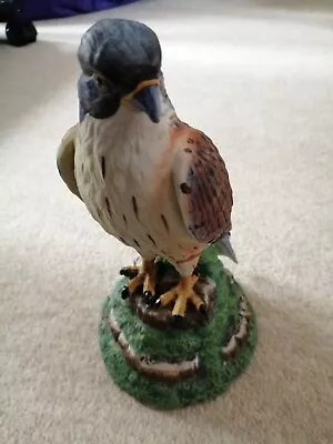 Ceramic / Resin - Medium Sized Falcon / Hawk Ornament . Please See Description • £5