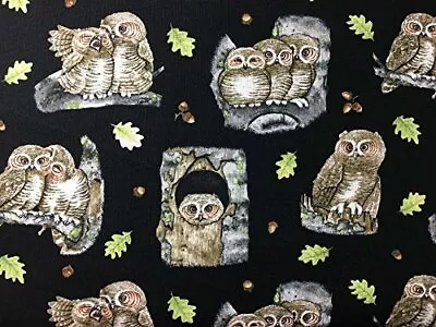 Owl Family Bird Valance Owls Green Oak Leaf Acorns Nocturnal Birds Black Curtain • £18.04