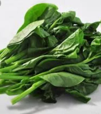 USA 1-OZ 1000+ Green Stem Malabar Vietnamese Spinach Seeds; Mồng Tơi 木耳菜 USA • $8.95