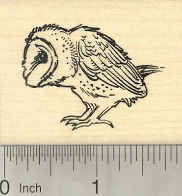Barn Owl Rubber Stamp Bird Profile View E25608 WM • $15