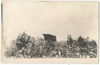 Real Photo Postcard RPPC 1910 Cultivating Corn With Horses Farming • $3.99