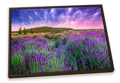 Summer Lavender Field Sunset Pink CANVAS FLOATER FRAME Wall Art Print Picture • £29.99