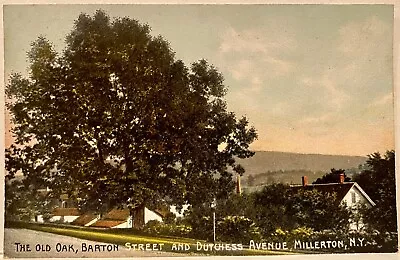 Millerton NEW YORK ~ The Old Oak Barton St. & Dutchess Ave. Antique Postcard • $7.99