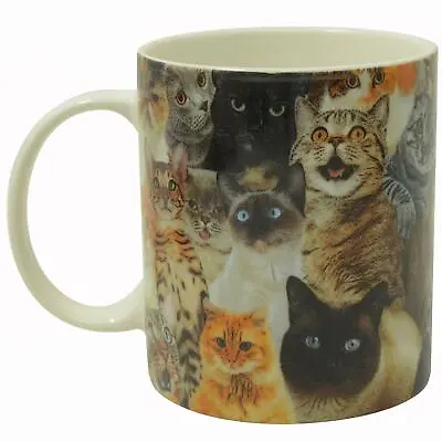 Crazy Cat Lady Mug Kitten Best Pet Cats Animal Love Novelty Tea Coffee Cup Gift • £11.95