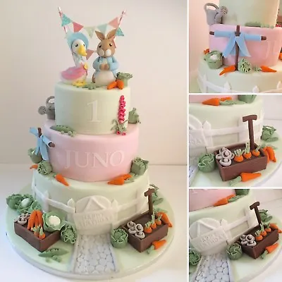 Peter Rabbit Themed Cake Toppers / Edible Sugar Cake Decoration • £2.50